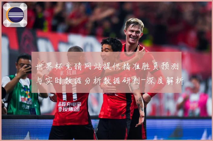 世界杯竞猜网站提供精准胜负预测与实时数据分析数据研判-深度解析